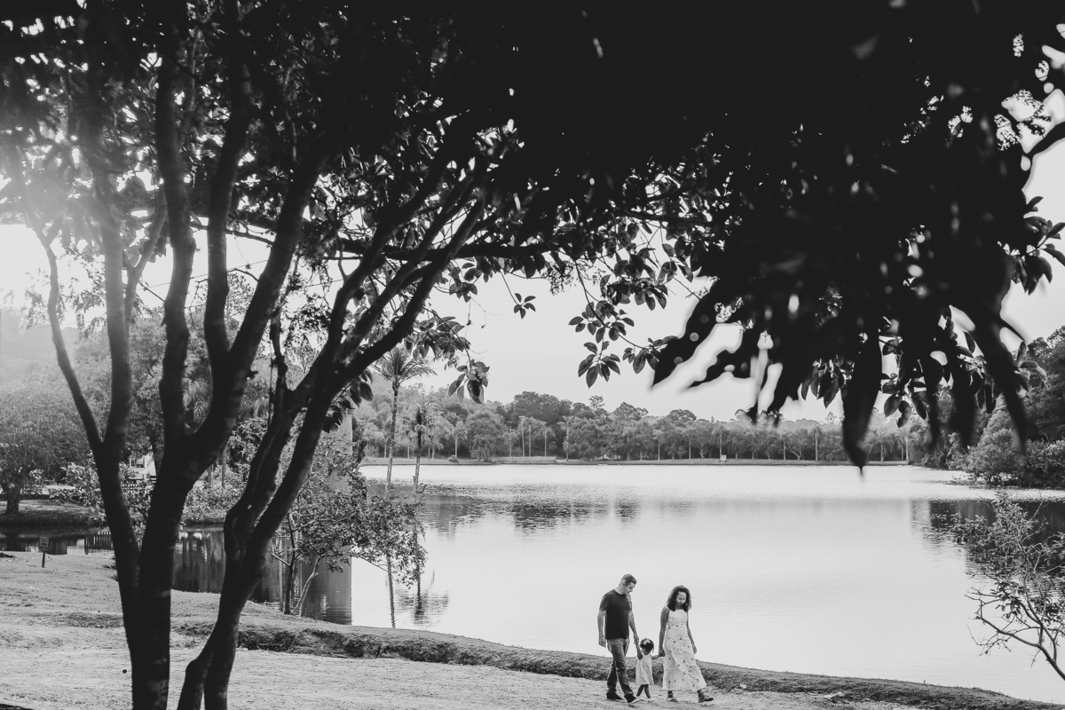 ensaio externo de familia em vinhedo