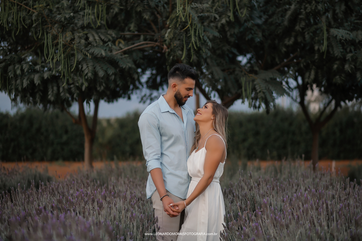 ensaio-pre-wedding-casal-lavanda-bloemen-park