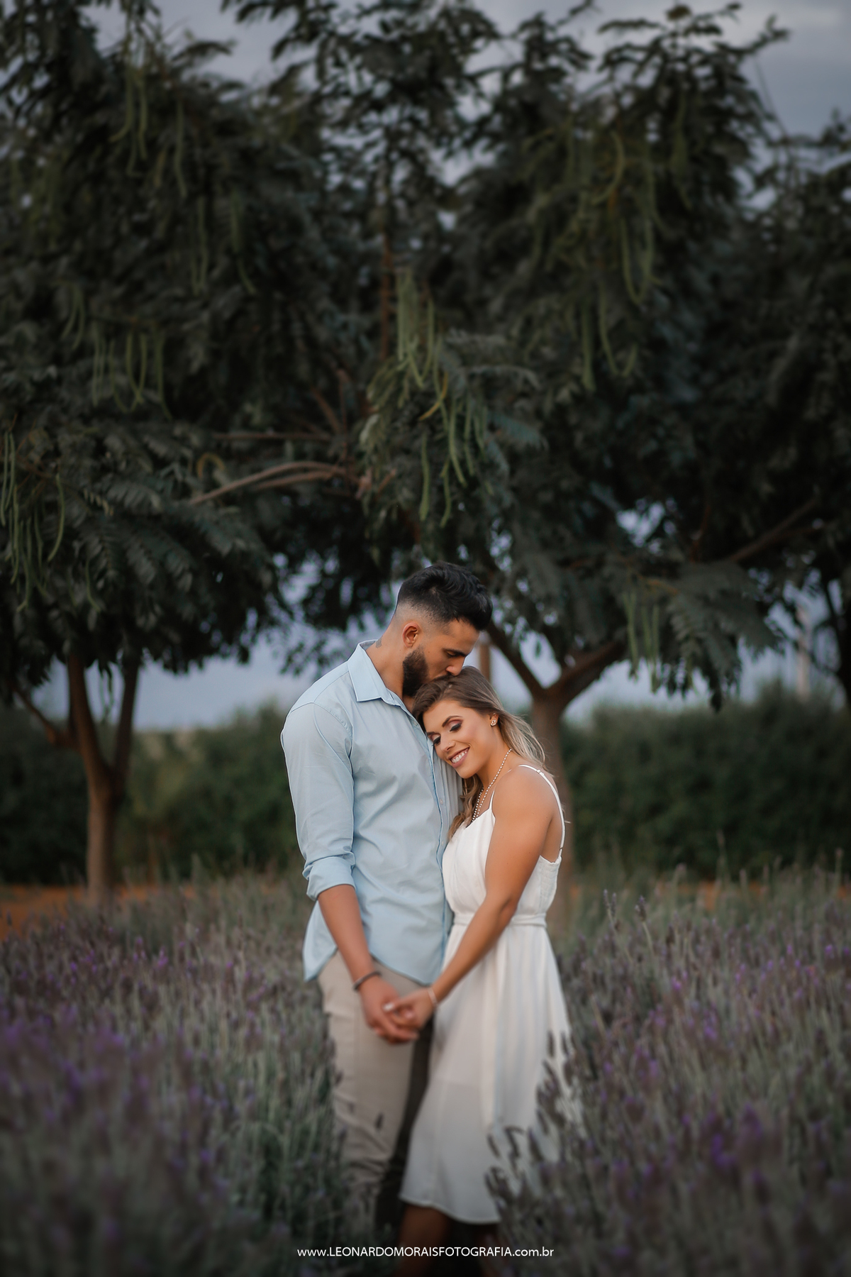 foto-casal-lavanda