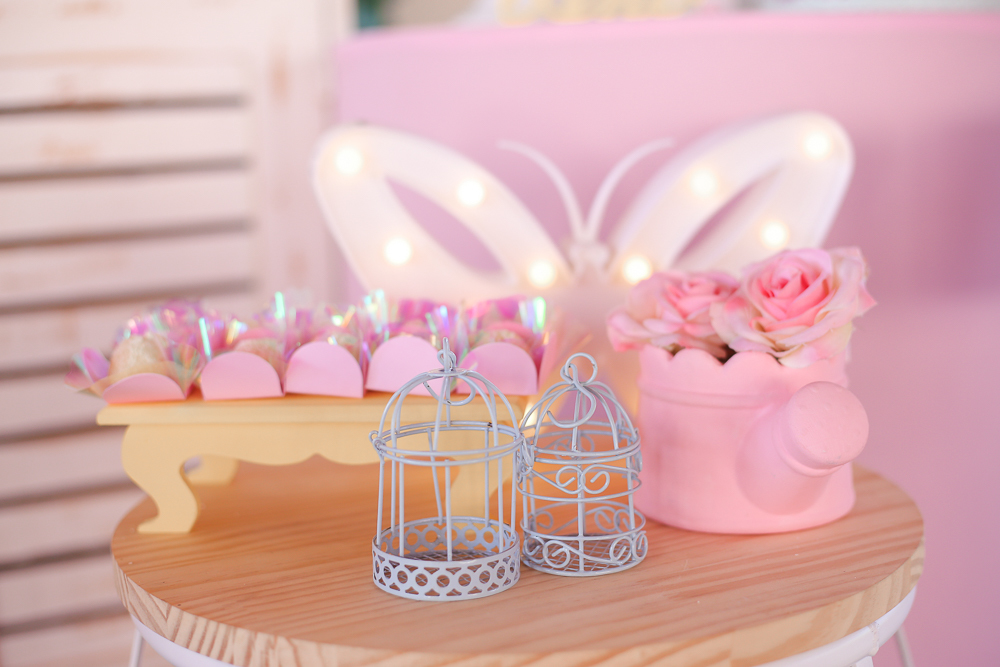 aniversário-infantil-um-ano-vinhedo- tema-jardim-decoração