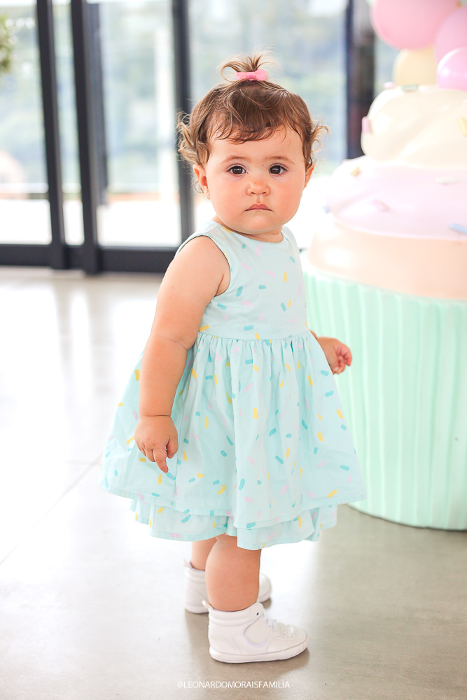 decoração-aniversário-infantil-primeiro-aninho-tema-aniversário