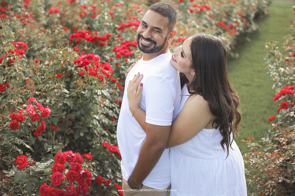 prewedding-holambra-foto-plantação-rosa