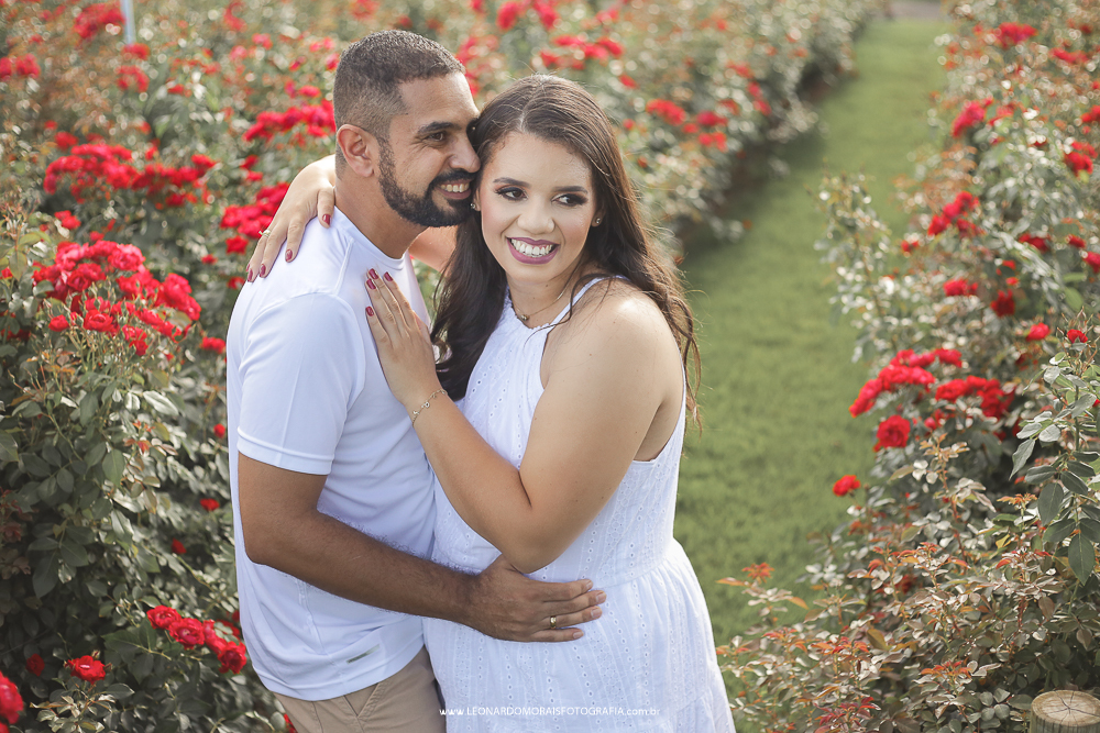 prewedding-holambra-foto-plantação-rosa