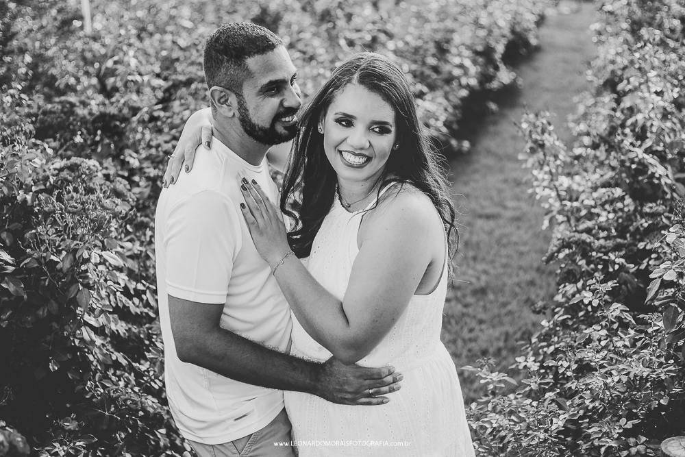 prewedding-holambra-foto-plantação-rosa