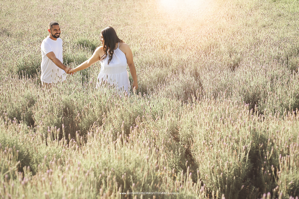 ensaio-holambra-prewedding-lavanda