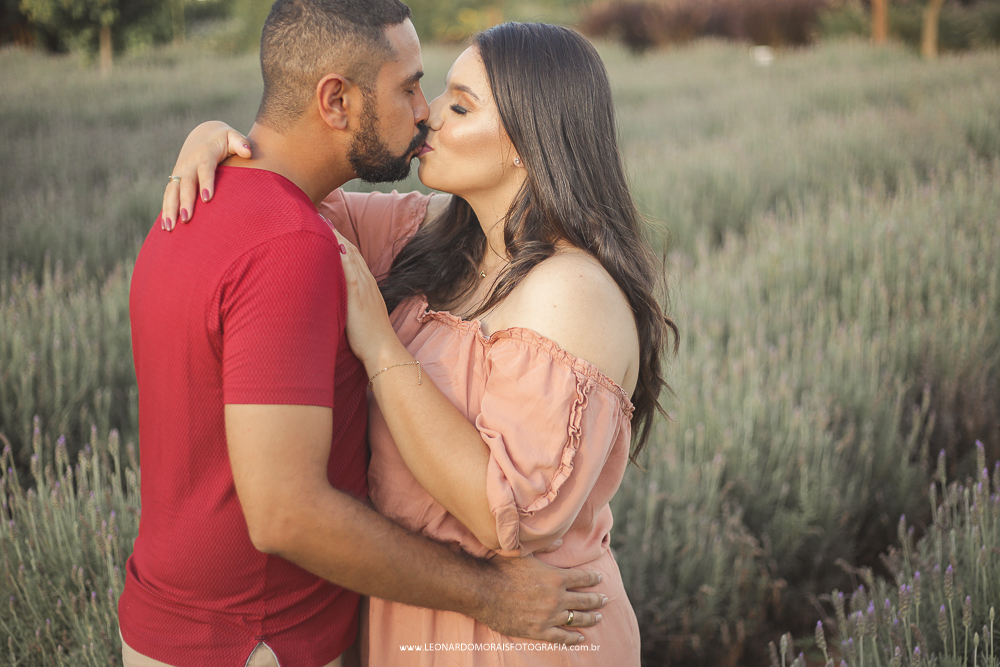prewedding-holambra-lavanda