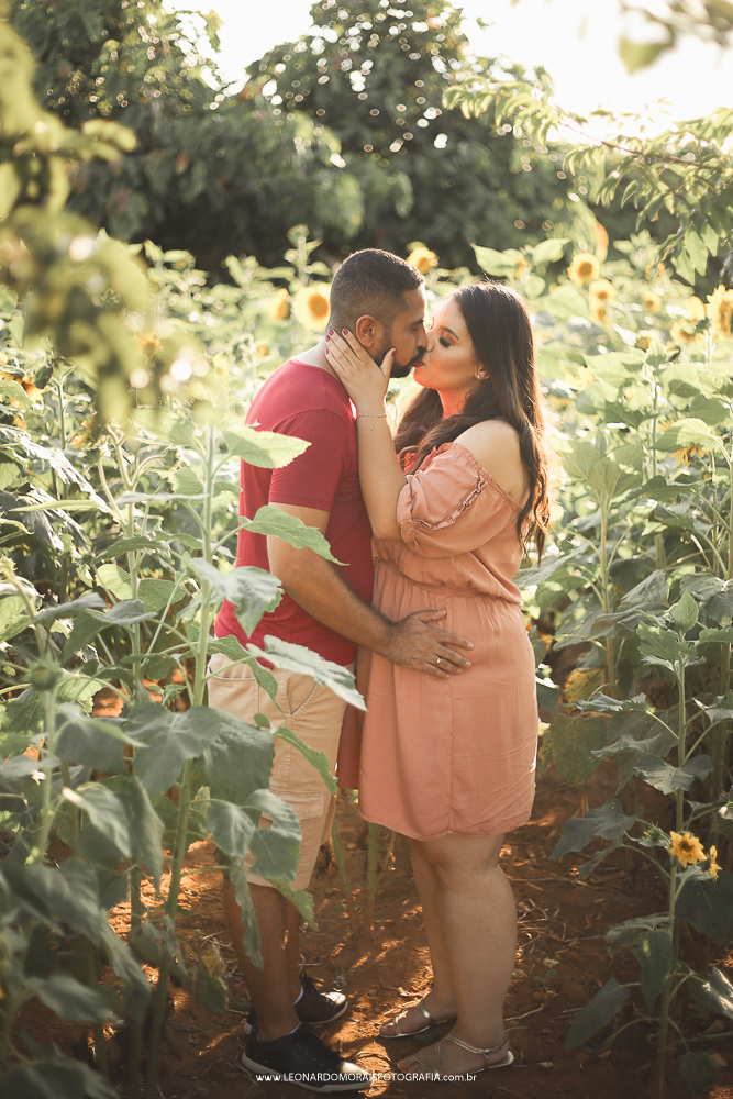 prewedding-holambra-girassol