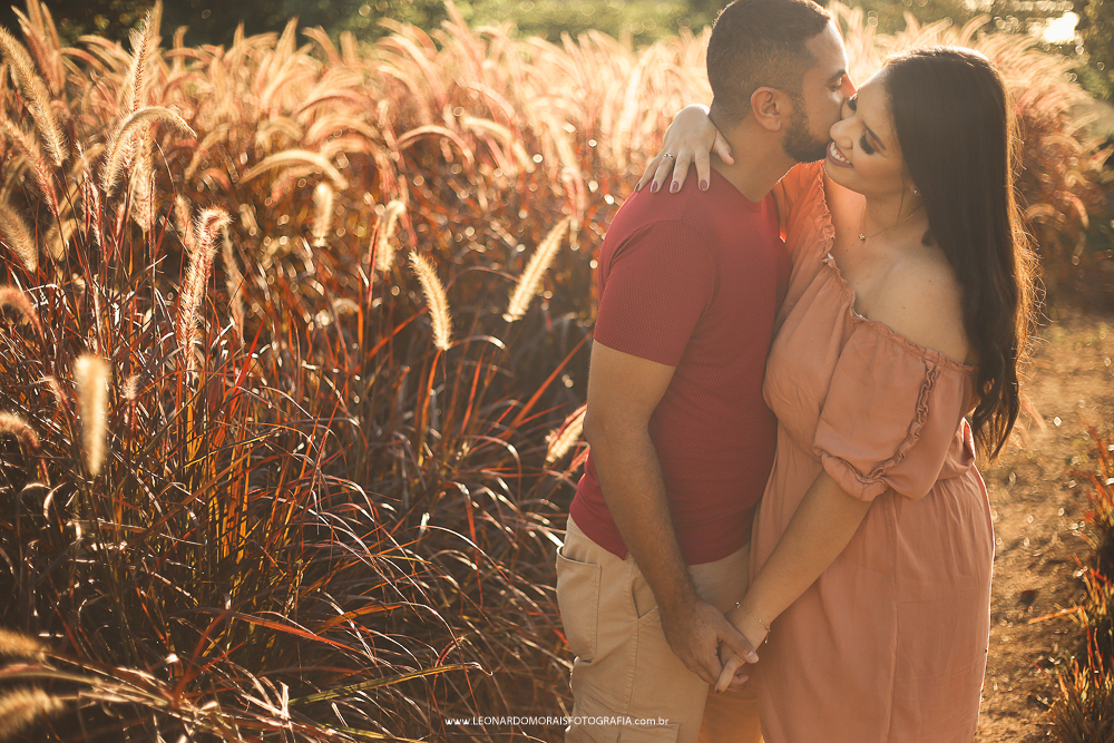 ensaio-prewedding-holambra-capim-do-texas