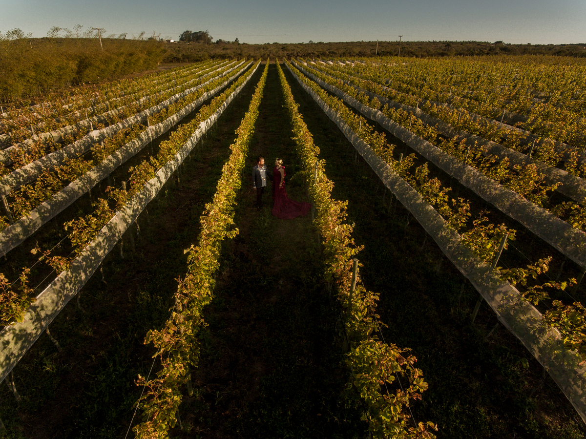 ensaio casal em vinícola de vinhos caros e sofisticados 