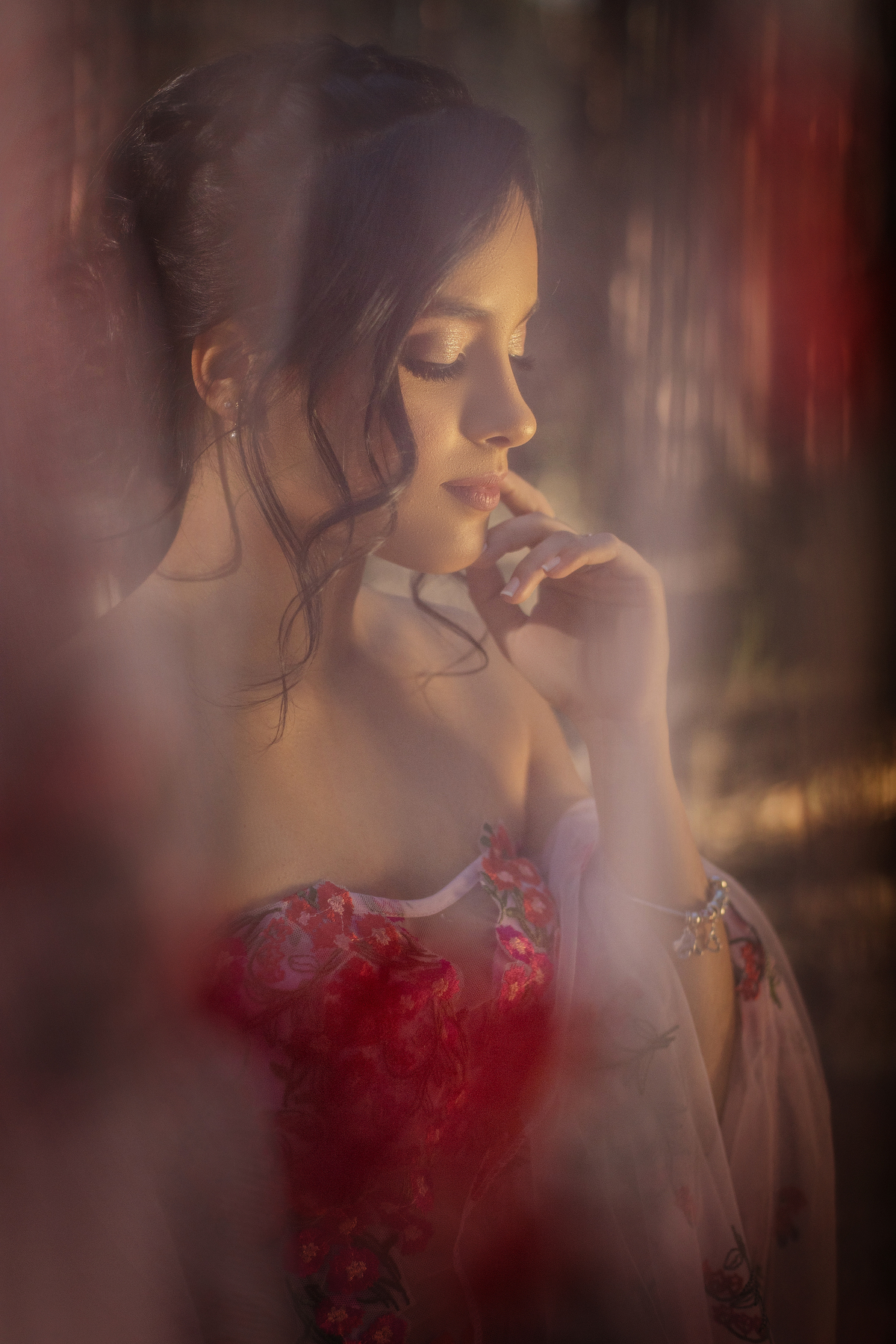 retrato  de debutante 