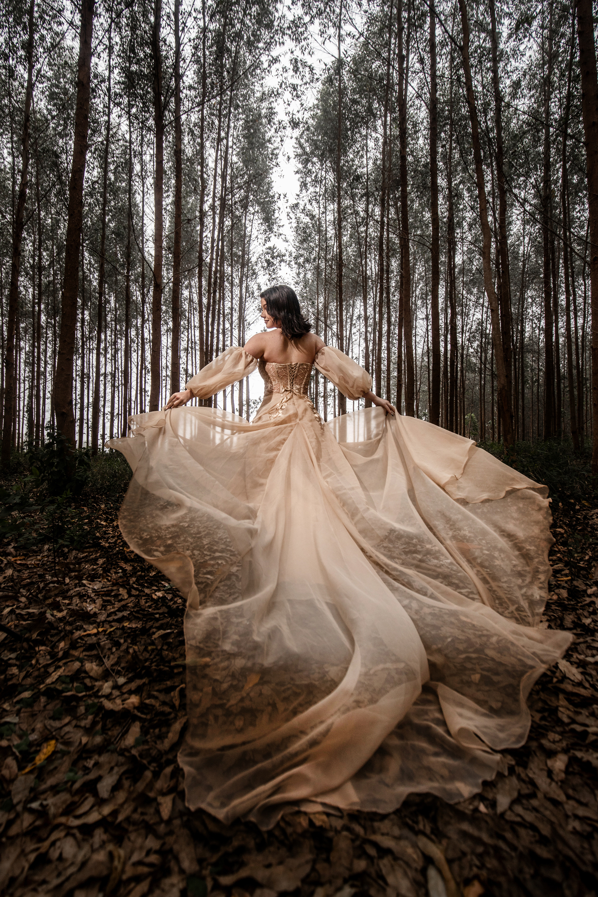 Estados Unidos da America