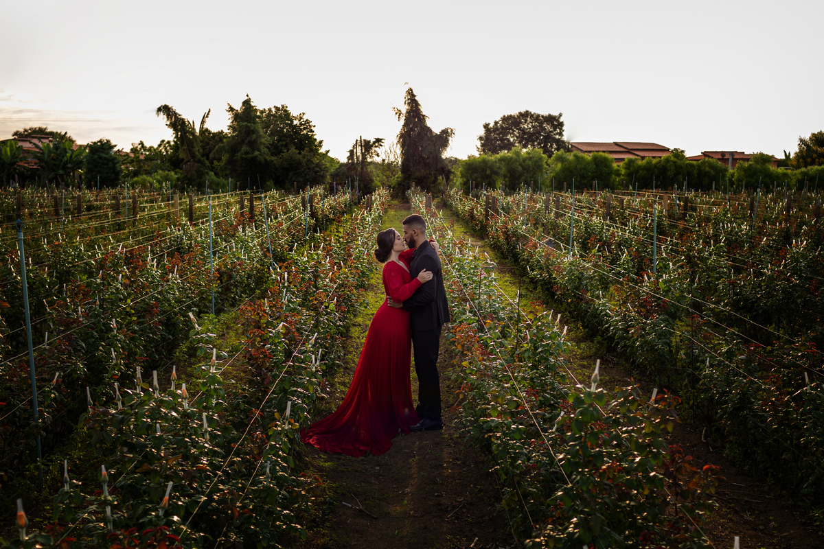wedding em São Paulo 