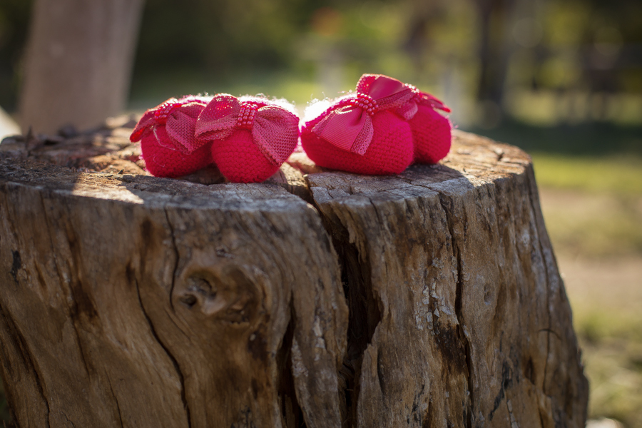 gestação de gêmeas, fotos de gestante, gestação, Jequié, Jaguaquara, Fotos de gestante 