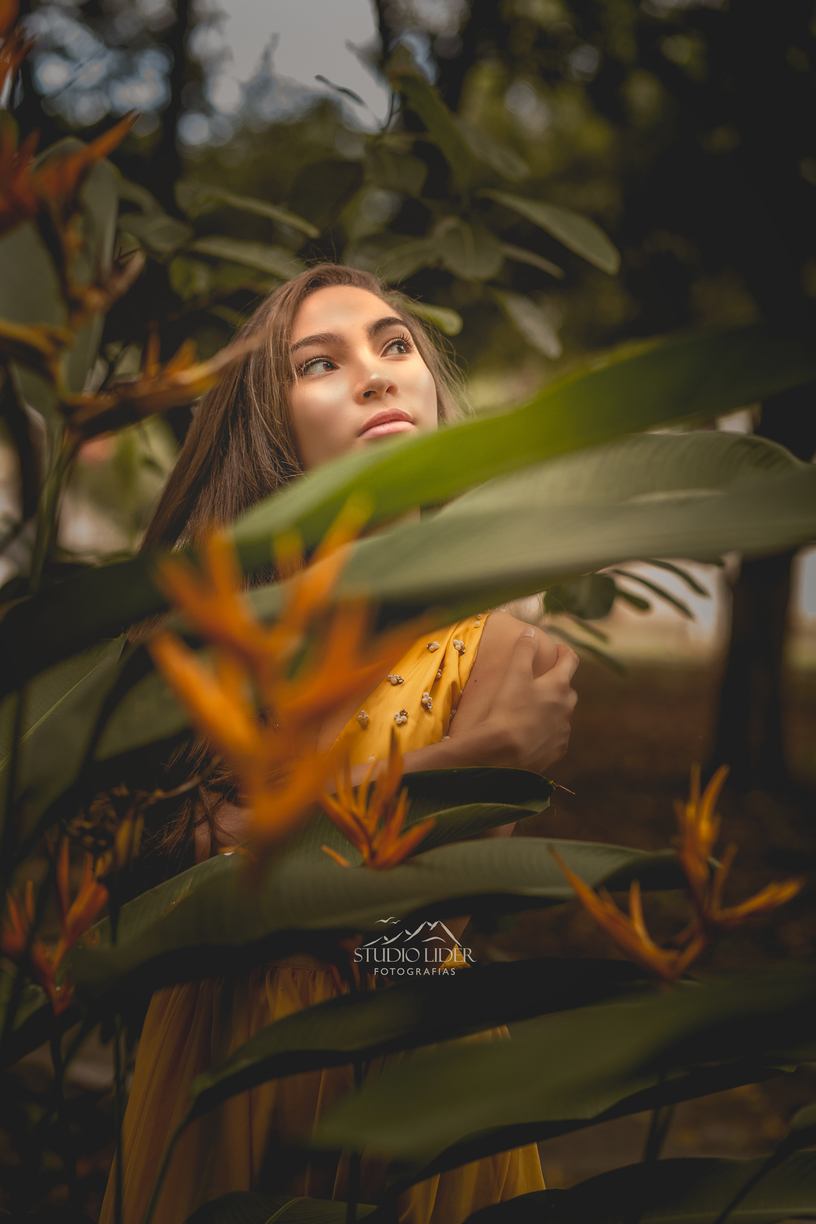 debutante  ensaio 15 anos ensaio fotográfico 15 anos ensaio em jequié 