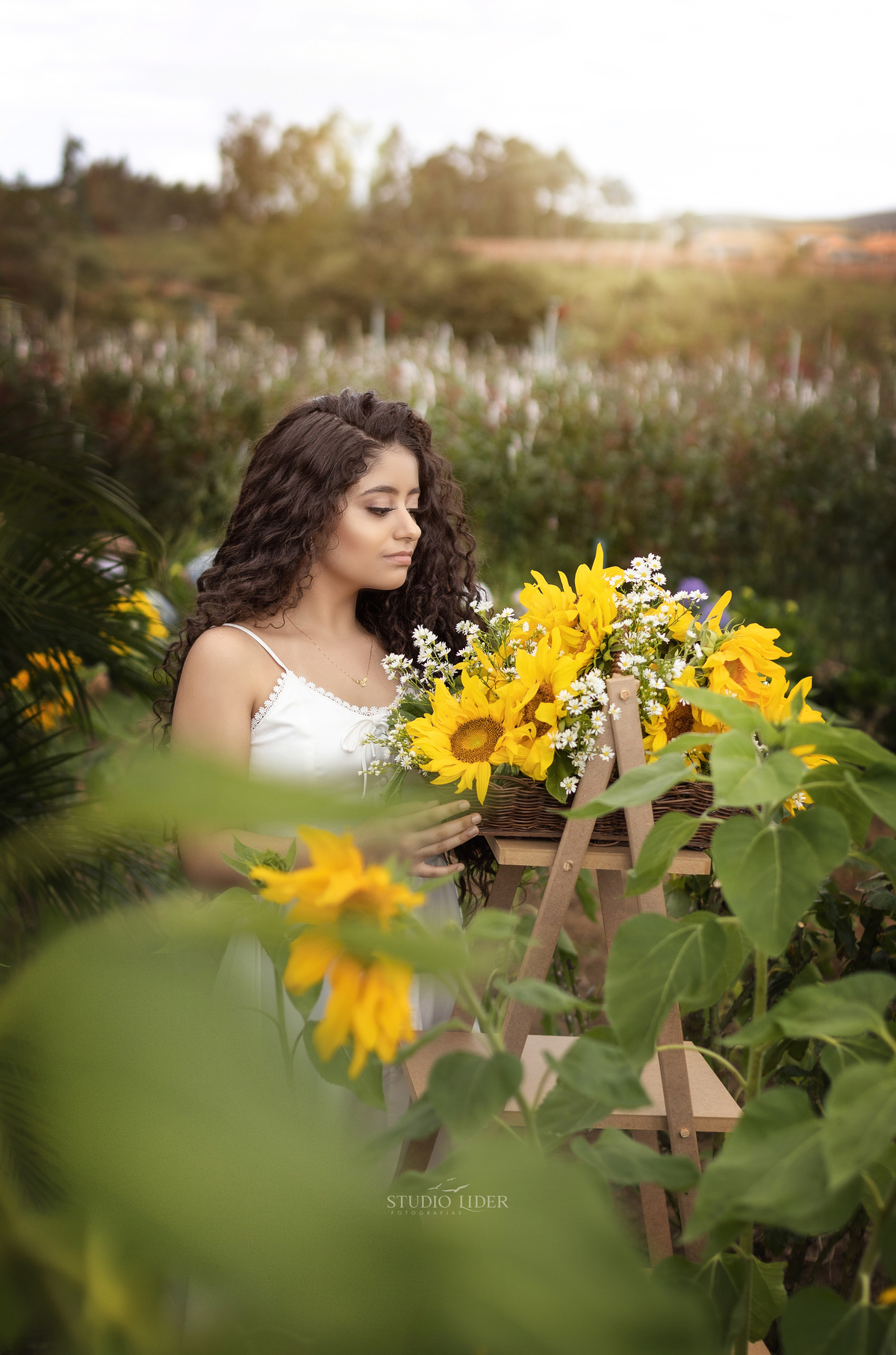 ensaio em girassol Decoração 15 Anos Princesa
Desenhos De 15 Anos
Brasão De 15 Anos
Bolo 15 Anos Roxo ensaio Bahia 