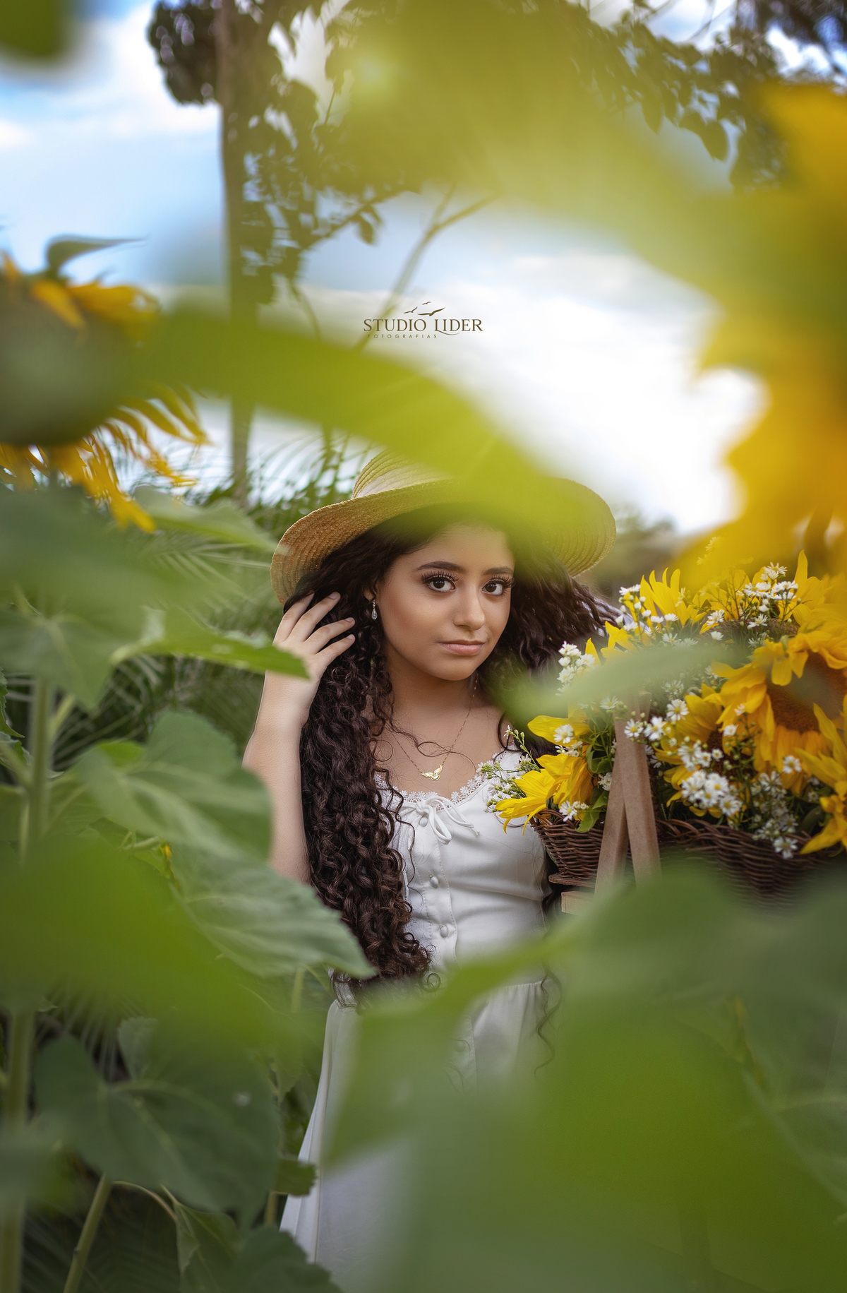 retrato em girassol  Decoração 15 Anos Princesa
Desenhos De 15 Anos
Brasão De 15 Anos
Bolo 15 Anos Roxo