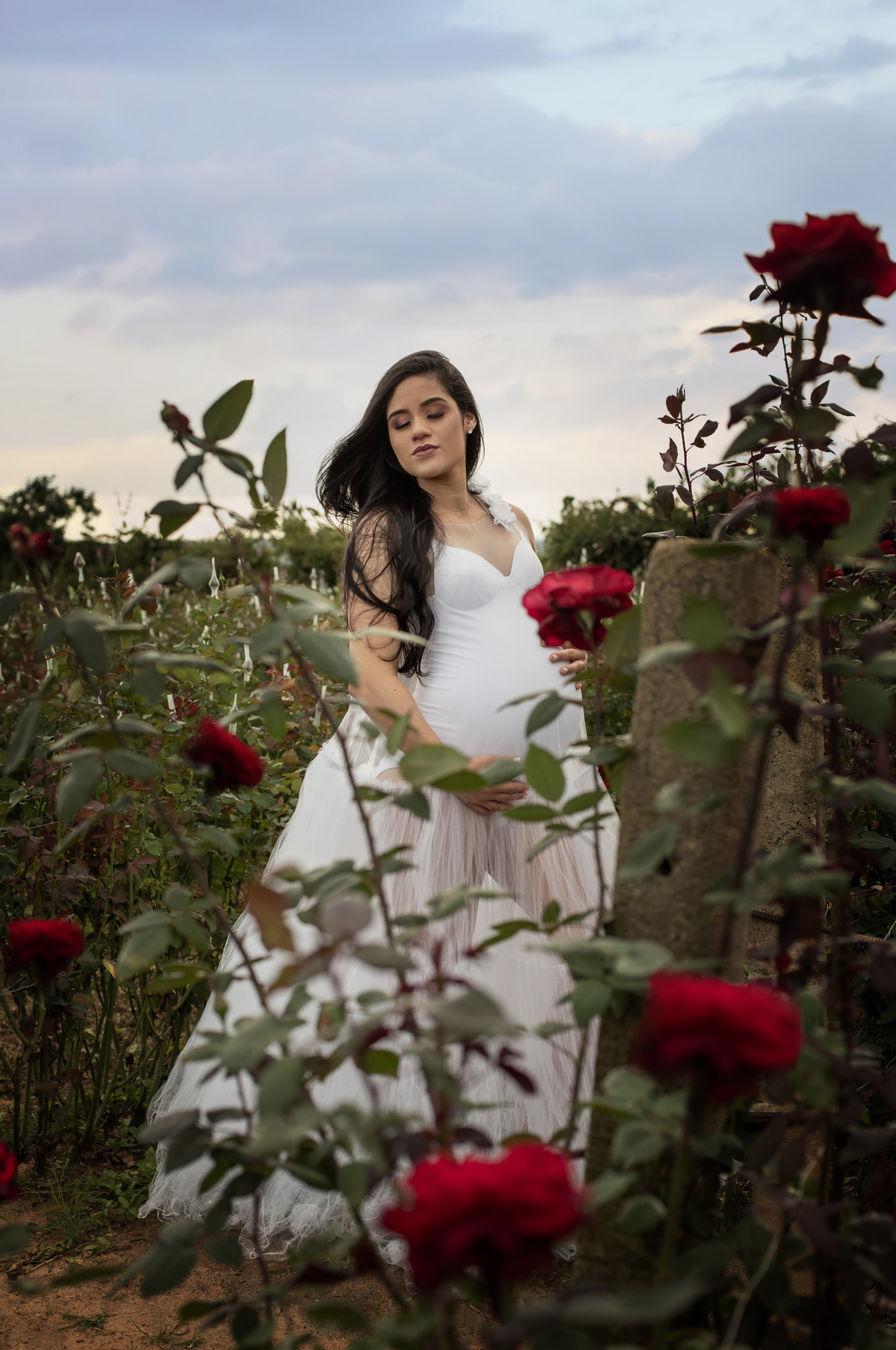 amor de mãe nas rosas 