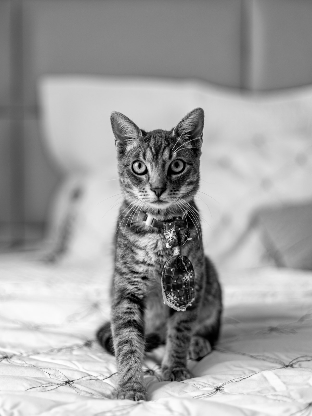 #saúde #arte #instadaily #selflove #picoftheday #believe #fit #yourself #photo #motivationalquotes #smile #fitnessmotivation #music #likeforlikes #healthy #followforfollowback #girl #training #healthylifestyle #bodybuilding #luxury #selfie #entrepreneur #