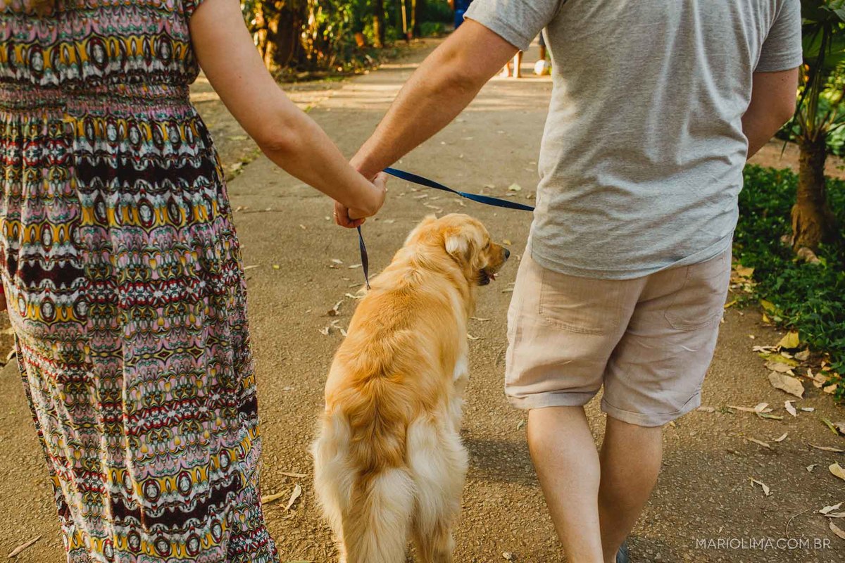 Retrato de pais de mãos dadas caminhando com cachorro no Parque Celso Daniel em Santo André