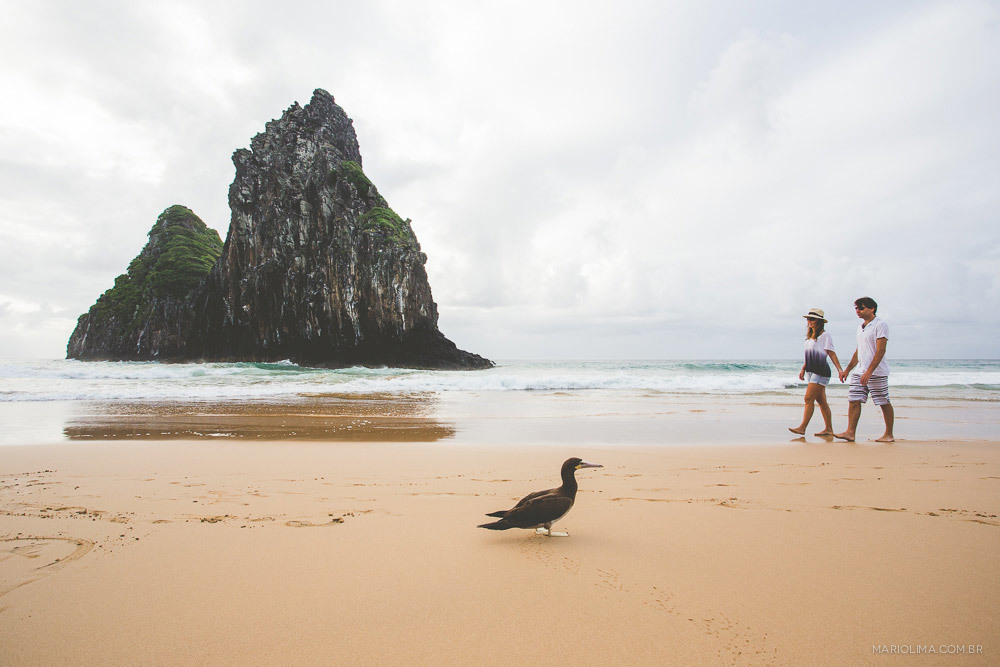 Casal caminhando na praia de Fernando de Noronha
