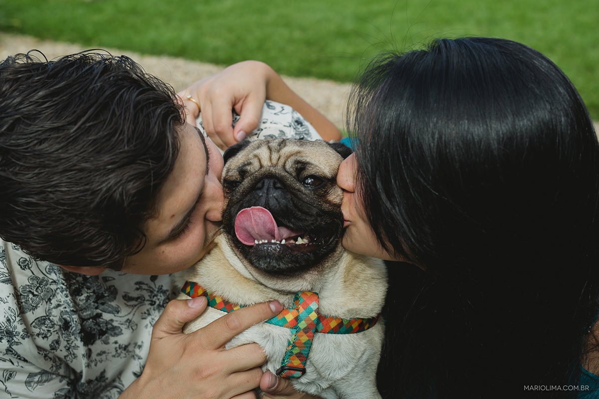  noivos beijando o cachorro da raça pug