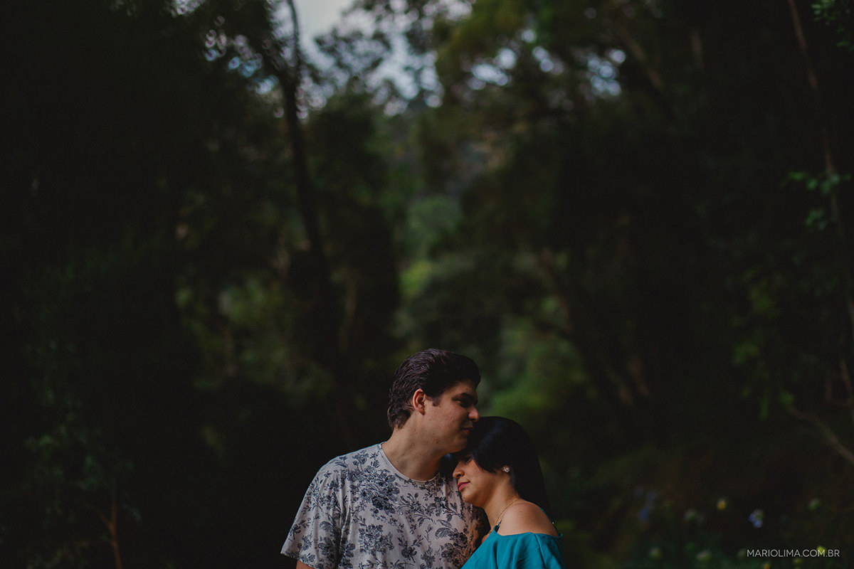 retrato dos noivos com as araucárias ao fundo em campos do jordão 