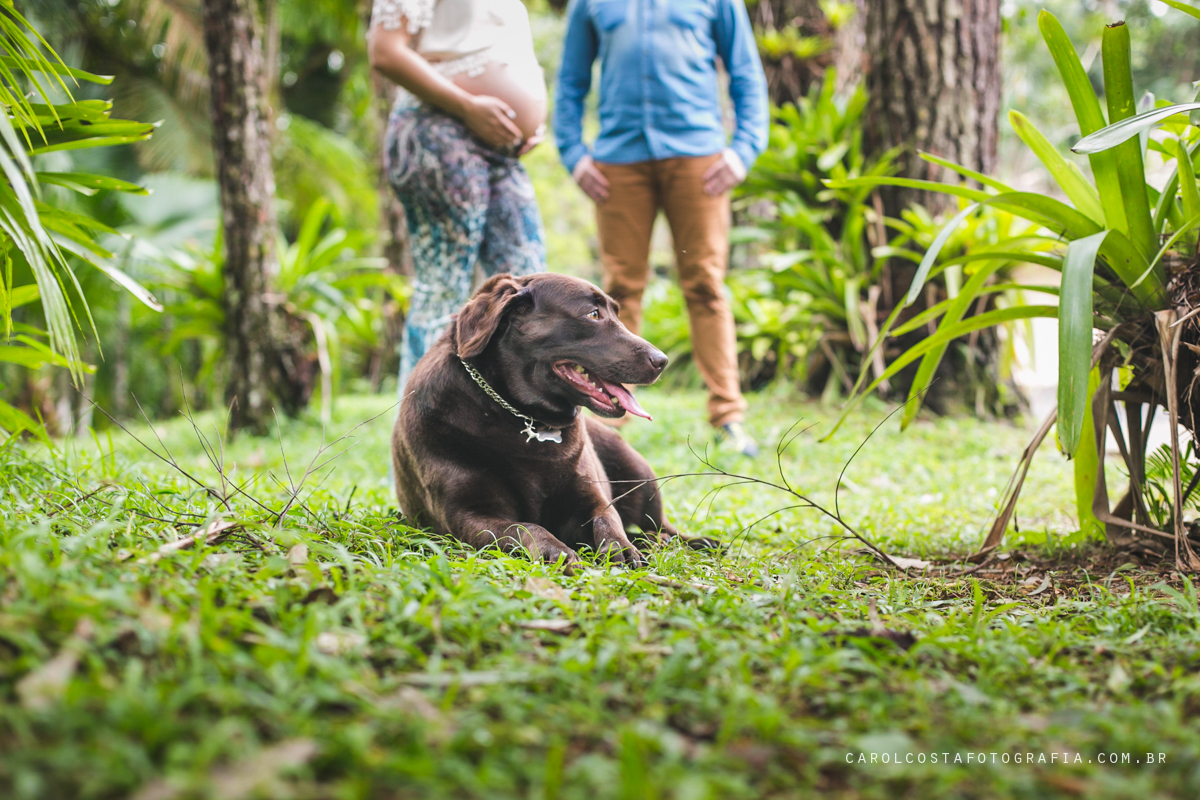 newborn fotografia família joinville infantil criança bebê gestante gestação