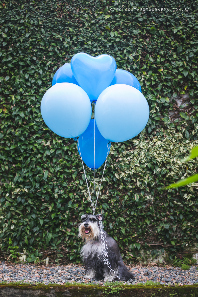 newborn fotografia família joinville infantil criança bebê gestante gestação