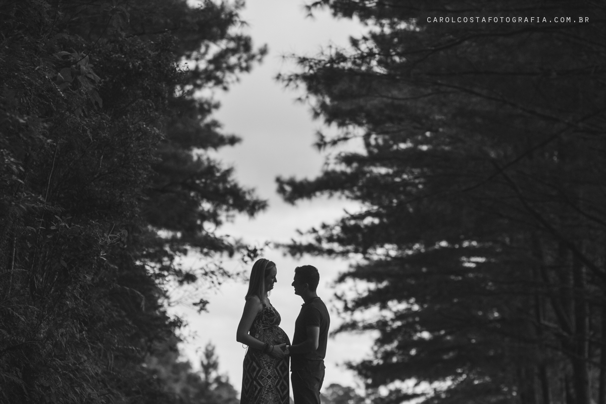 newborn fotografia família joinville infantil criança bebê gestante gestação