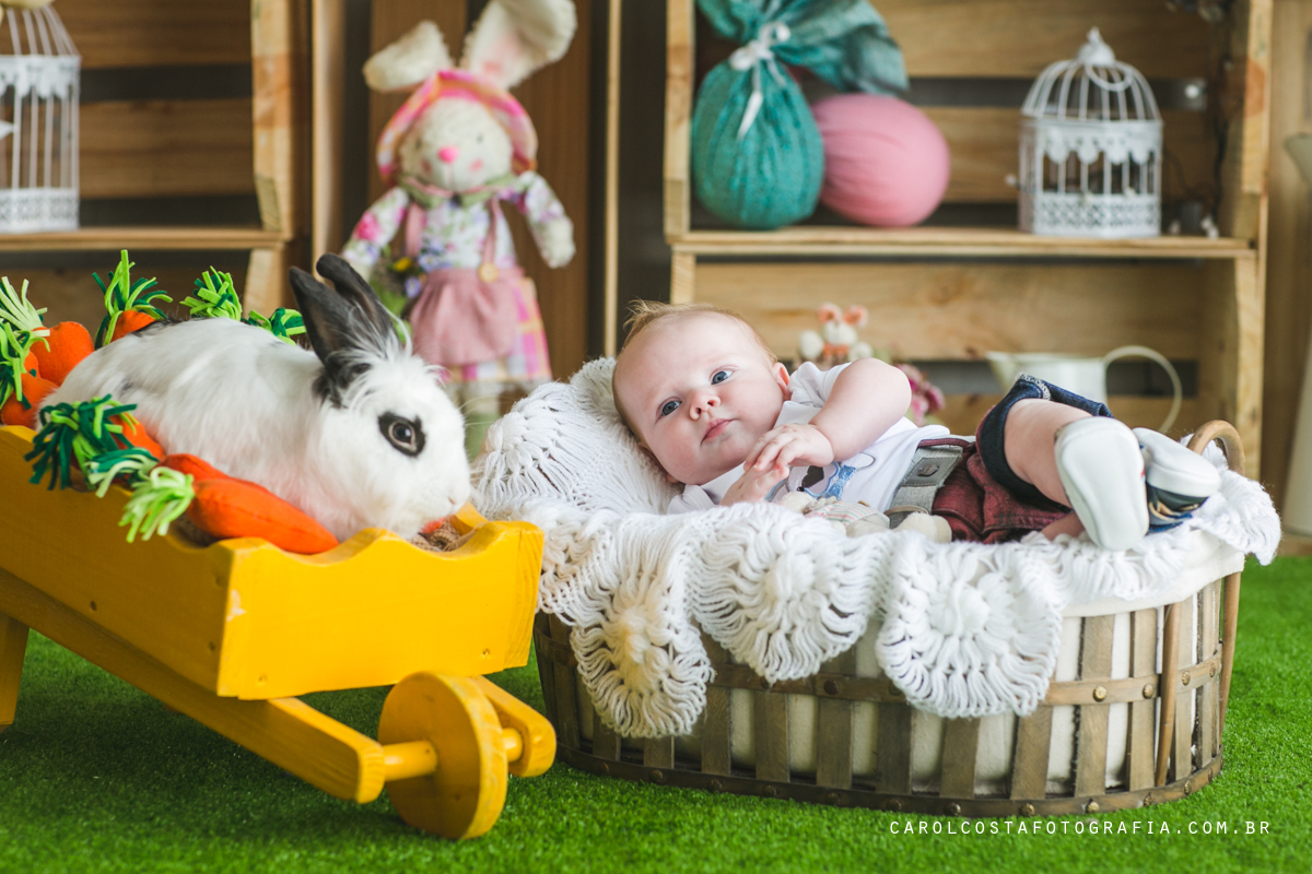 ensaio infantil, ensaio pascoa, joinville, ensaio criança. criança, coelho, foots pascoa, ensaio pascoa, ensaio pascoa joinville, cenario pascoa, carol costa fotografia, carol costa, fotografia