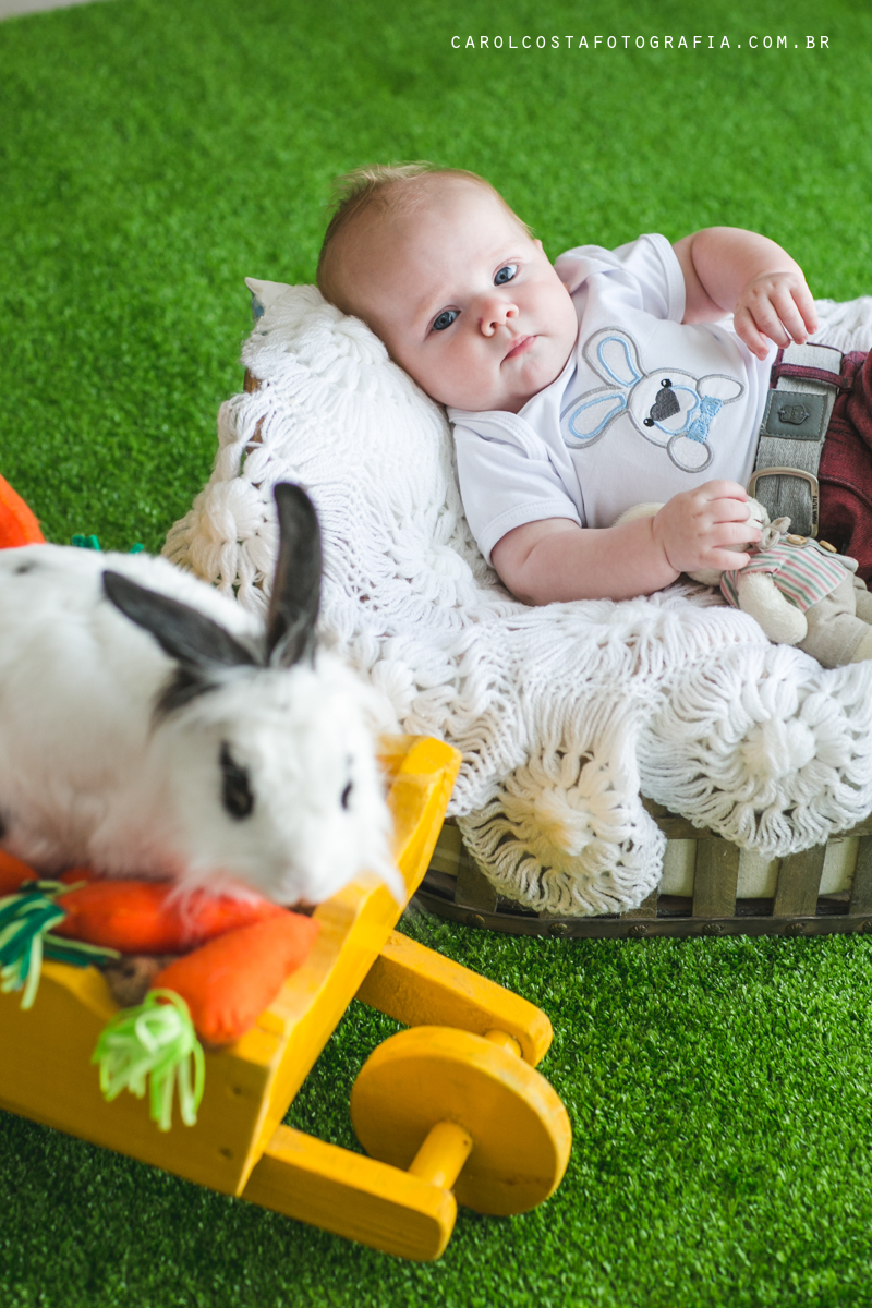 ensaio infantil, ensaio pascoa, joinville, ensaio criança. criança, coelho, foots pascoa, ensaio pascoa, ensaio pascoa joinville, cenario pascoa, carol costa fotografia, carol costa, fotografia