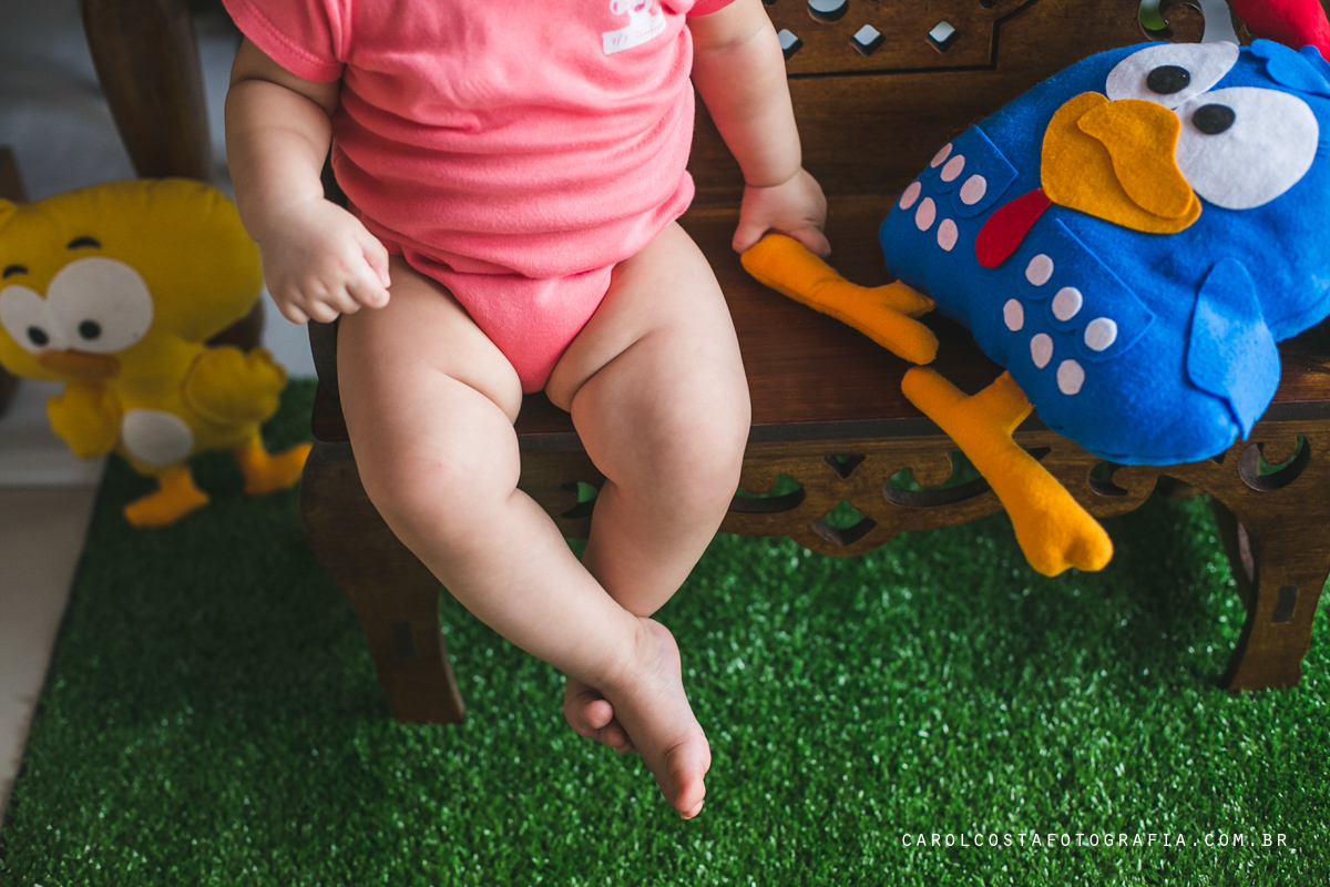 fotografia, família, infantil, criança, aniversário, joinville, itajai, balneário camboriú, jaragua do sul, curitiba, florianópolis, floripa, janaúba, aniversario infantil, fotografia, fotografa de familia