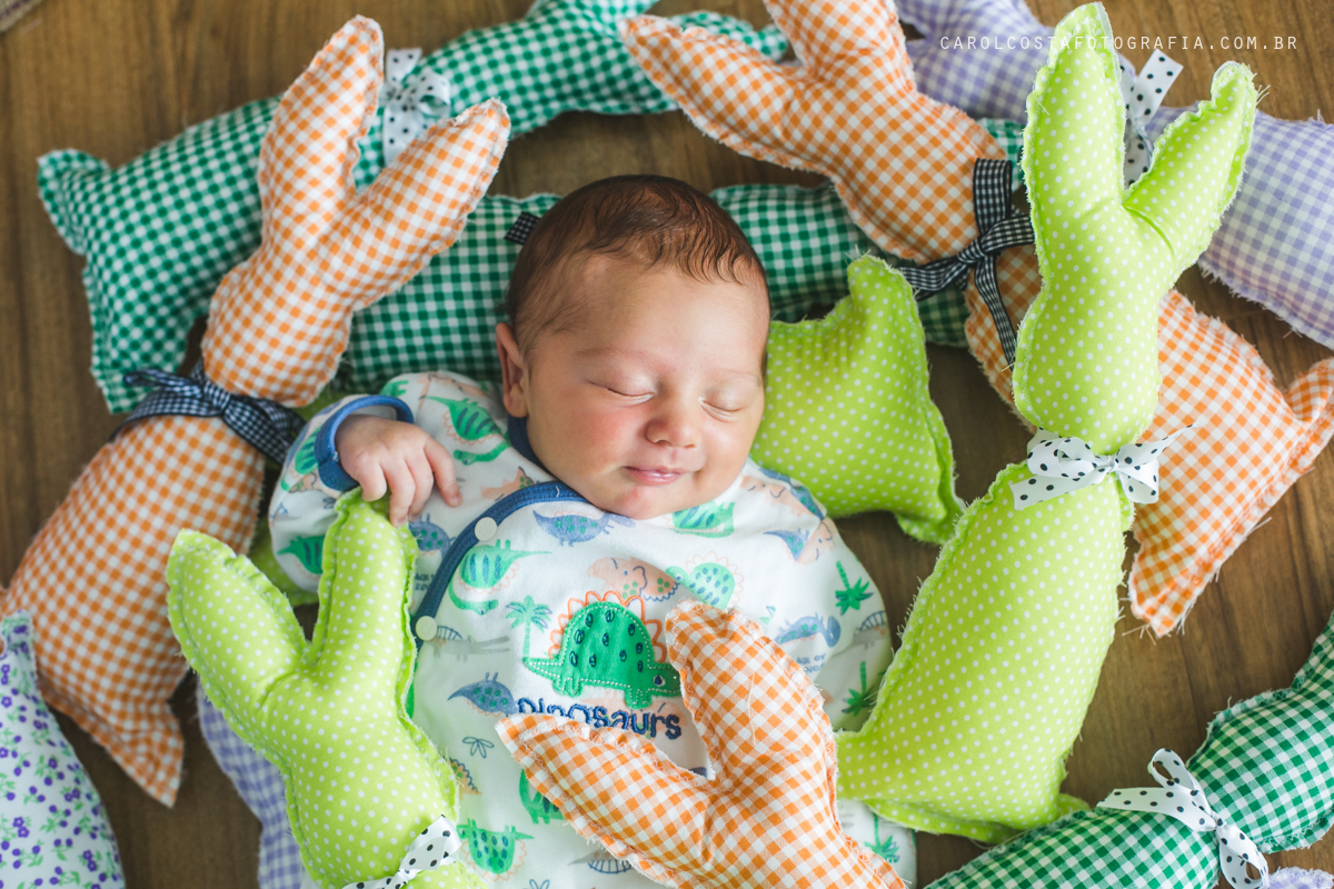 ensaio infantil, ensaio pascoa, joinville, ensaio criança. criança, coelho, foots pascoa, ensaio pascoa, ensaio pascoa joinville, cenario pascoa, carol costa fotografia, carol costa, fotografia