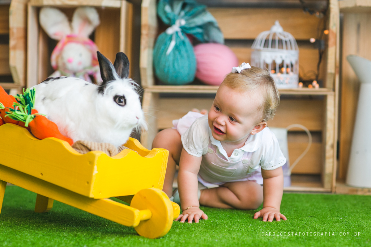 ensaio infantil, ensaio pascoa, joinville, ensaio criança. criança, coelho, foots pascoa, ensaio pascoa, ensaio pascoa joinville, cenario pascoa, carol costa fotografia, carol costa, fotografia