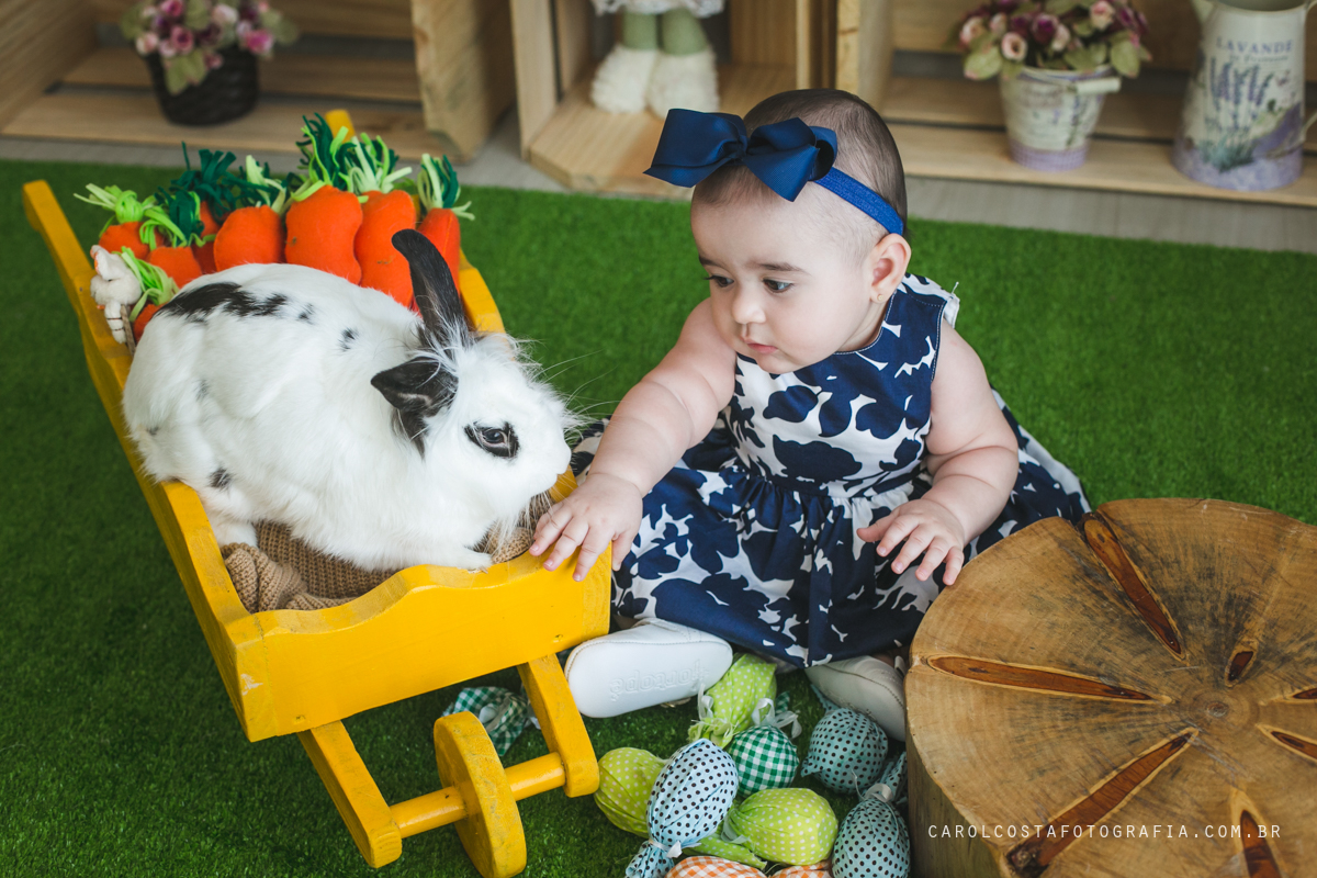 ensaio infantil, ensaio pascoa, joinville, ensaio criança. criança, coelho, foots pascoa, ensaio pascoa, ensaio pascoa joinville, cenario pascoa, carol costa fotografia, carol costa, fotografia