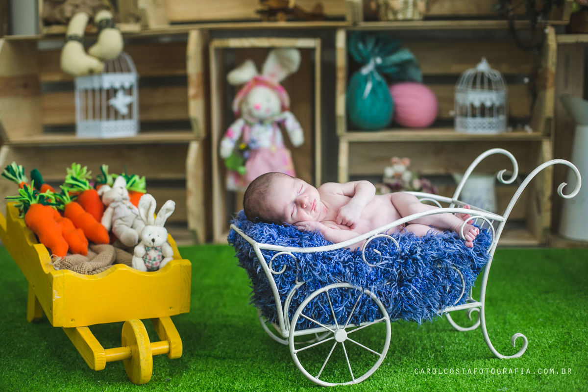 newborn, fotografia, família, joinville, infantil, criança, bebê, recem nascido,