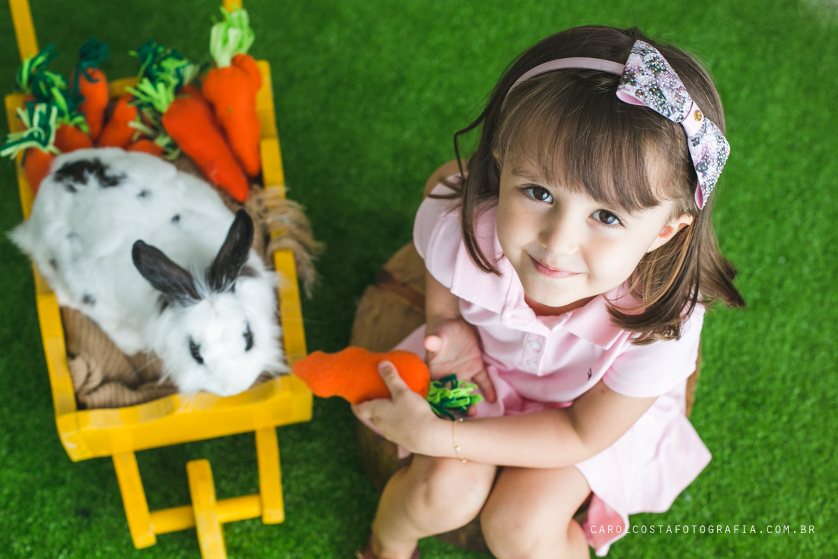 ensaio infantil, ensaio pascoa, joinville, ensaio criança. criança, coelho, foots pascoa, ensaio pascoa, ensaio pascoa joinville, cenario pascoa, carol costa fotografia, carol costa, fotografia