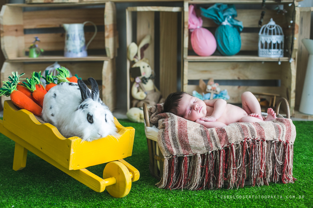 newborn, fotografia, família, joinville, infantil, criança, bebê, recem nascido,