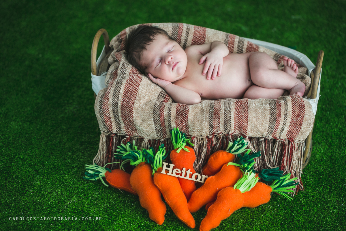 newborn, fotografia, família, joinville, infantil, criança, bebê, recem nascido,