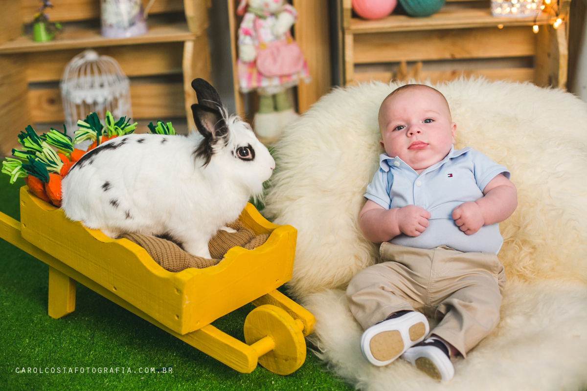 ensaio infantil, ensaio pascoa, joinville, ensaio criança. criança, coelho, foots pascoa, ensaio pascoa, ensaio pascoa joinville, cenario pascoa, carol costa fotografia, carol costa, fotografia, acompanhamento infantil