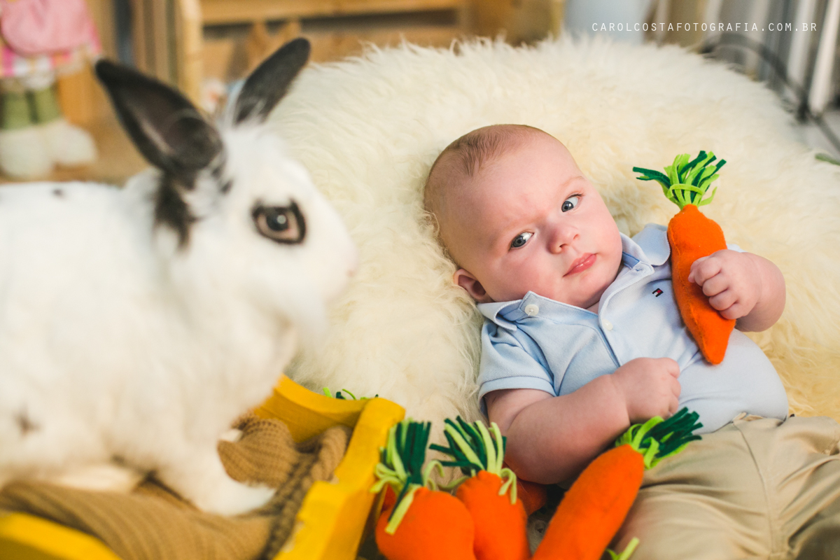 ensaio infantil, ensaio pascoa, joinville, ensaio criança. criança, coelho, foots pascoa, ensaio pascoa, ensaio pascoa joinville, cenario pascoa, carol costa fotografia, carol costa, fotografia, acompanhamento infantil