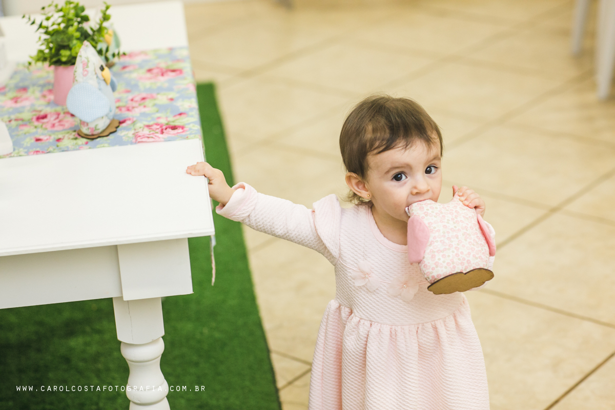 fotografia, família, infantil, criança, aniversário, joinville, itajai, balneário camboriú, jaragua do sul, curitiba, florianópolis, floripa, janaúba, aniversario infantil, fotografia, fotografa de familia,