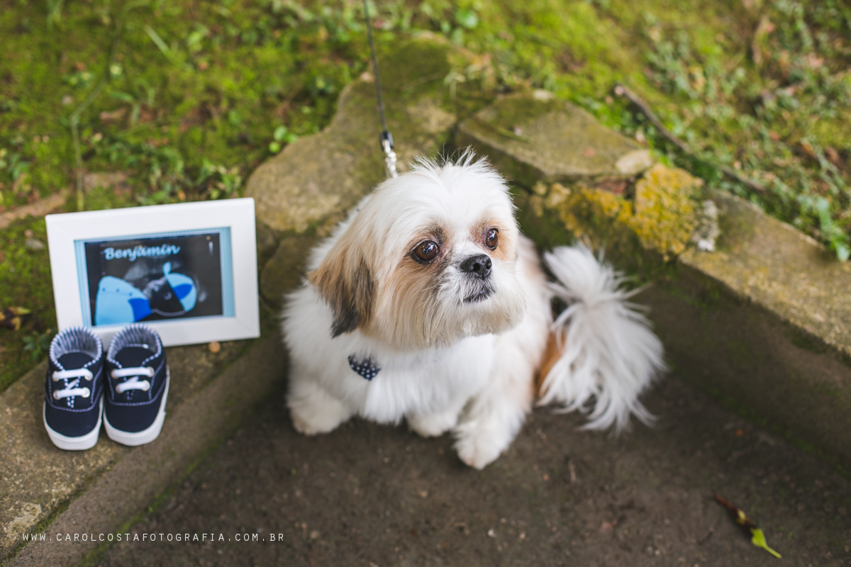 newborn, fotografia, família, joinville, infantil, criança, bebê, gestante, gestação, fotografia de familia, gravida