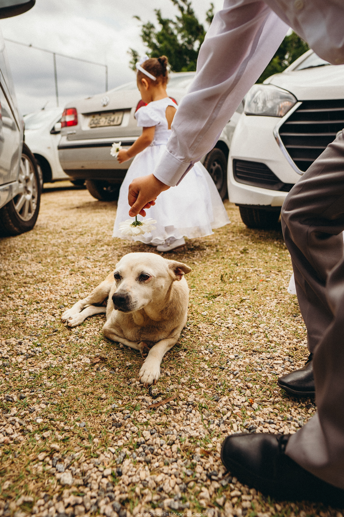 natalia-e-flavio-casamento-em-jundiai-brenomartinsfoto-casamento-sud-templo-sud-casamento-de-dia-breno-martins-fotografia