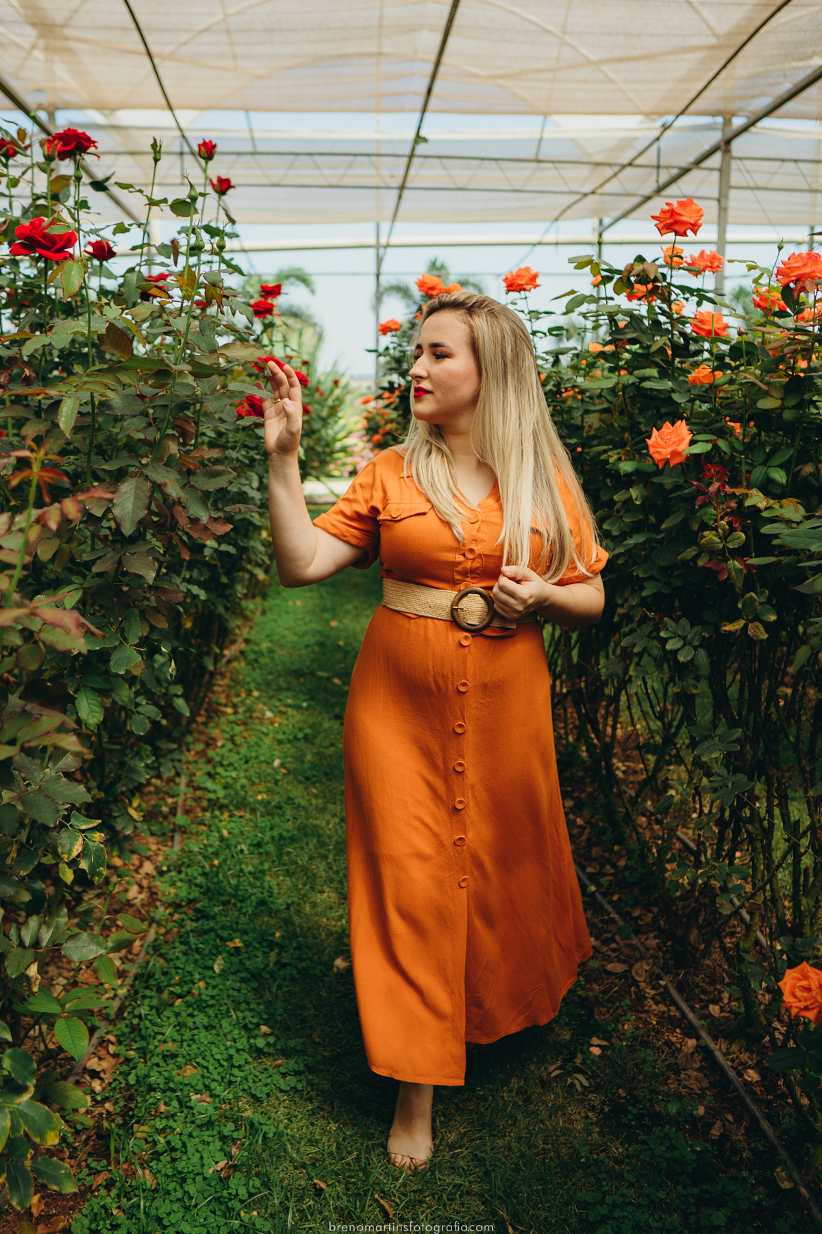 beatriz-e-douglas-pre-wedding-em-holambra-no-bloemen-park-cidade-das-flores-casamento-sud-templo-de-campinas-sao-paulo-brenomartinsfoto-breno-martins-fotografia
