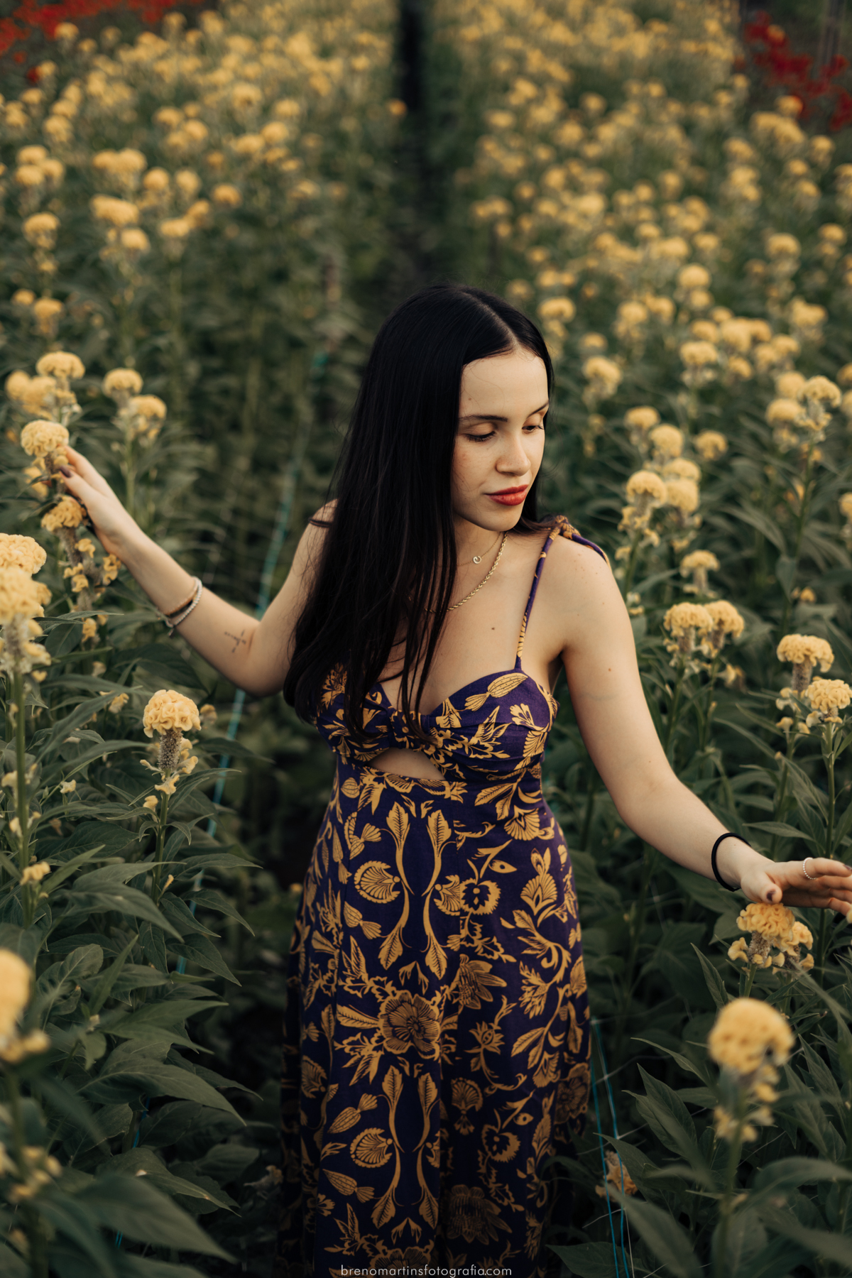 gabi-e-gianluca-pre-casamento-em-holambra-cidade-das-flores-parque-macena-breno-martins-fotografia-brenomartinsfoto-cidade-das-flores