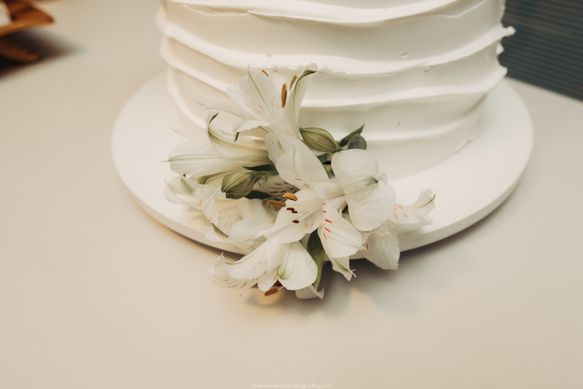 carol-e-heitor-casamento-no-cartorio-de-valinhos-e-casamento-no-museu-em-valinhos-breno-martins-fotografia-brenomartinsfoto-fotografo-em-valinhos