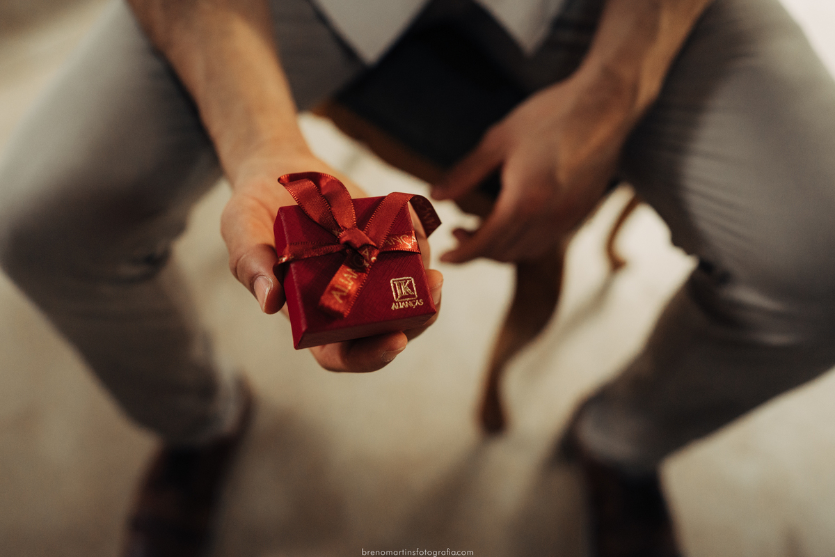 nathalia-e-igor-pre-wedding-em-holambra-no-parque-macena-brenomartinsfoto