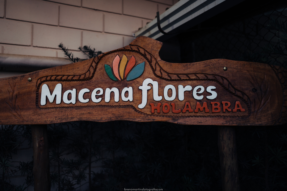 jessica-e-vinicius-pre-wedding-brenomartinsfoto-casamento-sud-templo-sud-fotografo-em-holambra-parque-macena-flores-holambra-breno-martins-fotografia