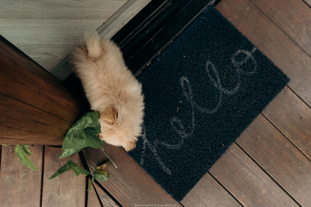 familia-almeida-sessao-de-fotos-em-iilhabela-sao-paulo-fotografo-em-ilhabela-brenomartinsfoto